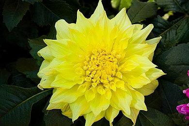 数据挖掘发现索尼或将推出PC版PlayStation奖杯